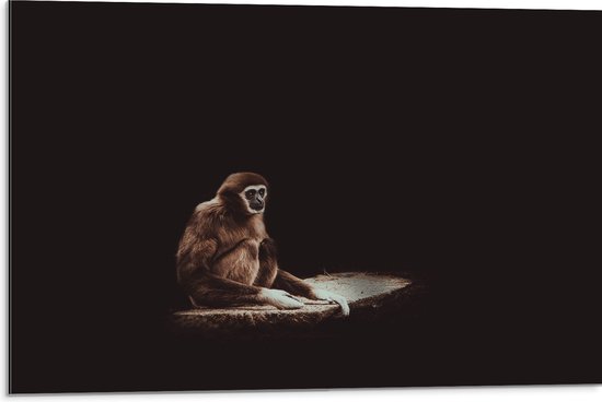 WallClassics - Dibond - Aap in het Donker - 75x50 cm Foto op Aluminium (Met Ophangsysteem)