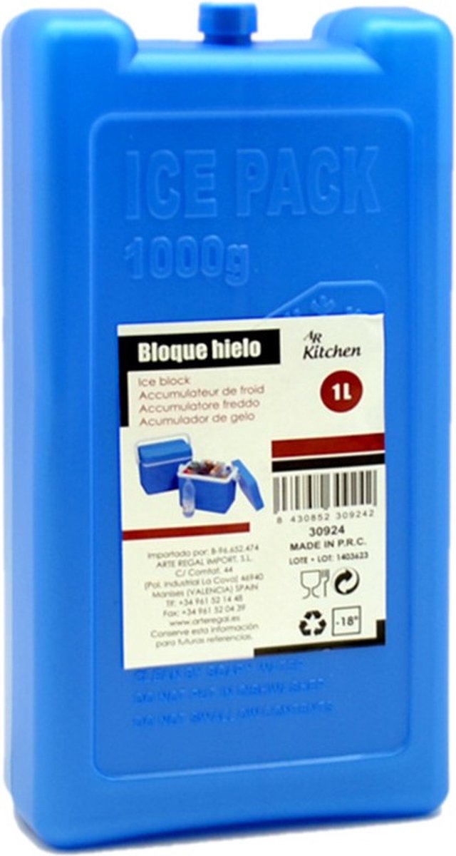 Arte R Koelelementen - groot blok - 1000 ml - 11 x 5 x 22 cm - blauw - voor koeltas en koelbox
