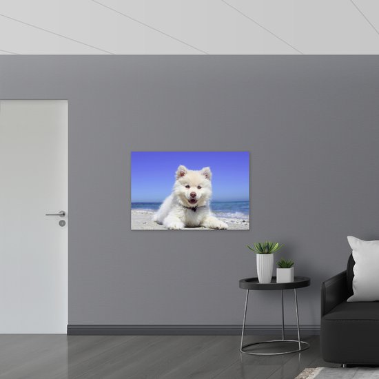 WallClassics - Poster brillant – Chien finlandais de Laponie au bord de la mer – 105 x 70 cm Photo sur papier poster avec finition brillante