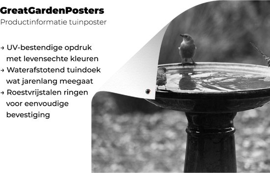 Tableau de jardin Différentes espèces d'oiseaux partageant un bain d'oiseaux - noir et blanc - 80x60 cm - Affiche de jardin