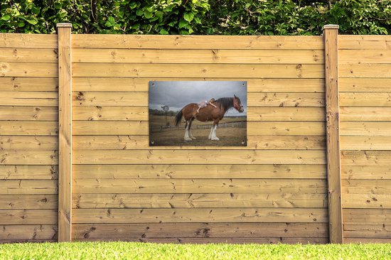 Posters de jardin Cheval - Fille - Prairie - 90x60 cm - Toile jardin