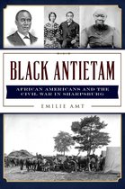 Civil War Series - Black Antietam