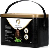 Excellent Equi Parex Pellets - 750gr - Draagt bij aan een gezonde maag- en darmflora - Geschikt voor paarden