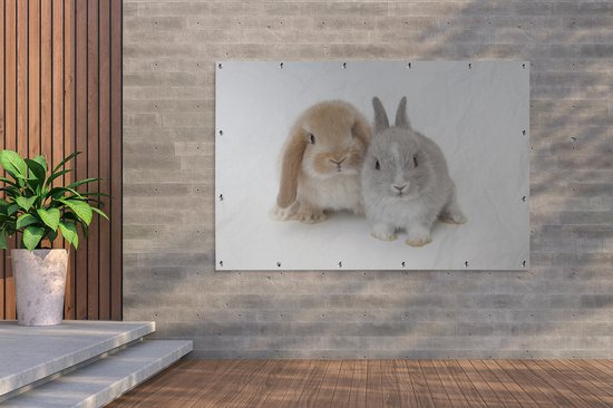 Affiche jardin - Deux lapins - 180x120 cm - XXL