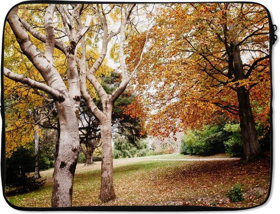 Housse pour ordinateur portable 15 pouces - Automne - Arbres - Feuilles - nature - Housse pour ordinateur portable