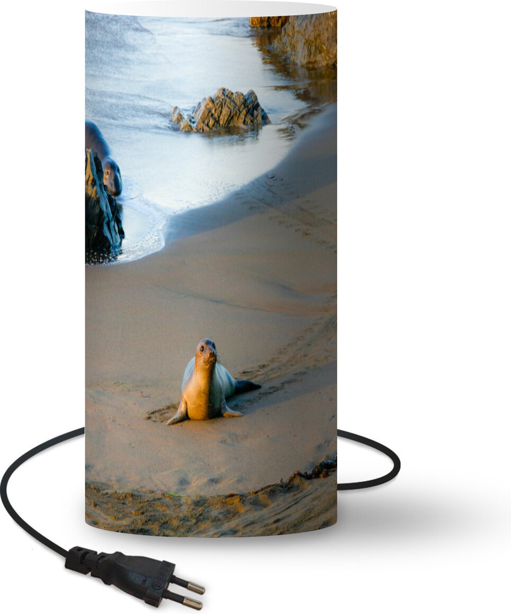 Lamp - Nachtlampje - Tafellamp slaapkamer - Dieren - Zeehond - Strand - 33 cm hoog - Ø15.9 cm - Inclusief LED lamp