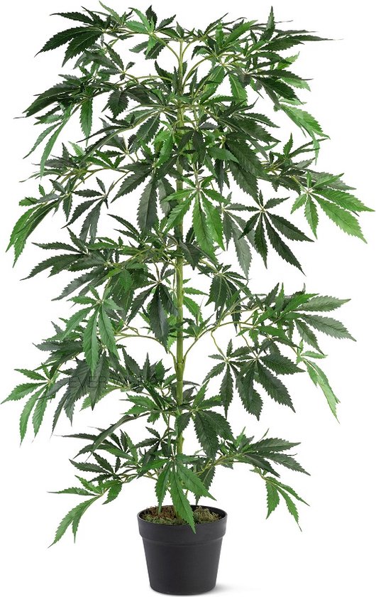 Nep Wietplant - 80cm - Kunst wiet plant - Groen