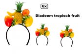 6x Diadeem Hawai tropisch fruit - Festival summer banaan thema feest ananas beach appel