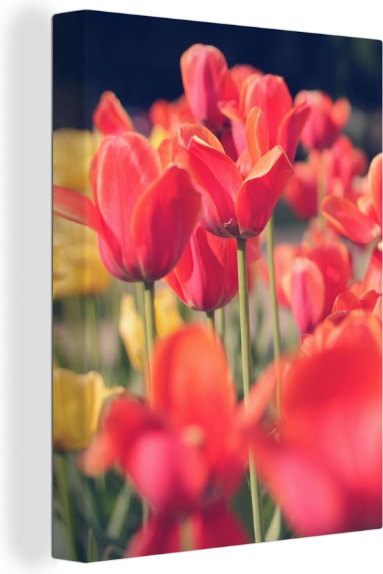 Tableau sur toile Tulipes - Fleurs - Nature - 120x160 cm - Décoration murale XXL