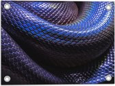 WallClassics - Tuinposter – Blauw Paarse Slangenhuid - 40x30 cm Foto op Tuinposter  (wanddecoratie voor buiten en binnen)