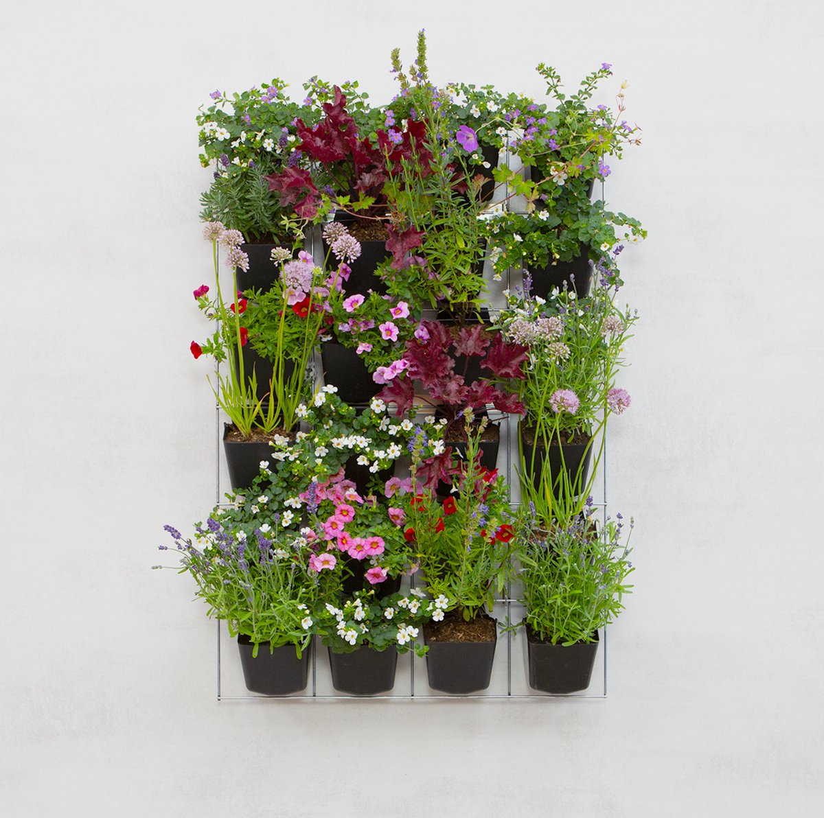 Mijn Verticale Tuin - Voor Buiten - Compleet Startpakket (Large) 90cm x 60cm - 24 Bakjes - Plantenbak aan de muur - Groene wand - Groene muur - Verticale Moestuin - Balkonbak - Plantenmuur - Muurtuin