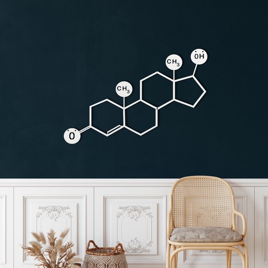 Wanddecoratie | Testosteron Molecuul / Testosterone Molecule| Metal - Wall Art | Muurdecoratie | Woonkamer | Buiten Decor |Wit| 90x63cm