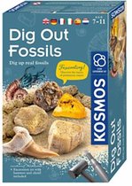 Dig Out Fossils