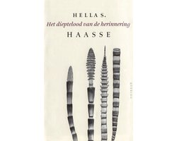 Omslag van Het dieptelood van de herinnering