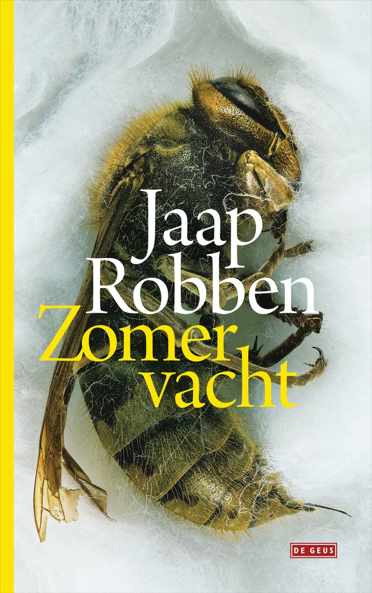 Omslag van Zomervacht