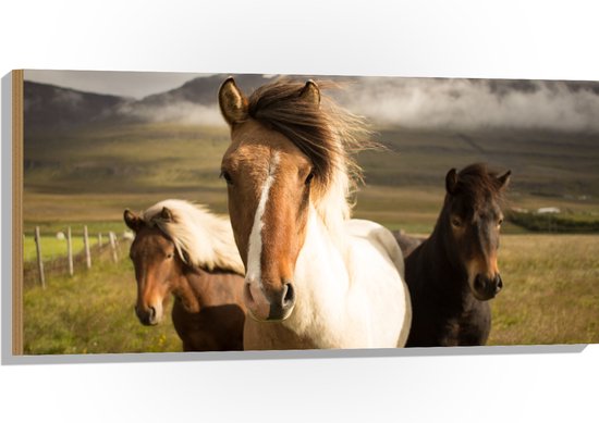 WallClassics - Hout - Drie Paarden op een Heuvel - 100x50 cm - 12 mm dik - Foto op Hout (Met Ophangsysteem)
