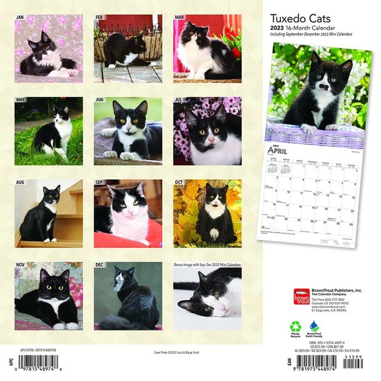 Tuxedo Cats Kalender 2023 3936