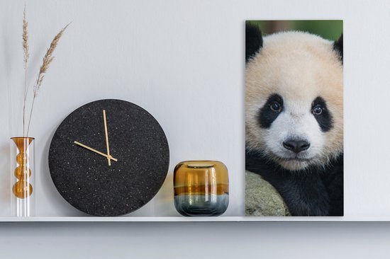 OneMillionCanvasses - Canvas - Panda - Steen - Natuur - Muurdecoratie - 20x40 cm - Canvas schilderij - Canvas doek