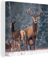 Canvas - Herten - Landschap - Dieren - Winter - Sneeuw - Woondecoratie - 90x90 cm - Foto op canvas - Canvas doek