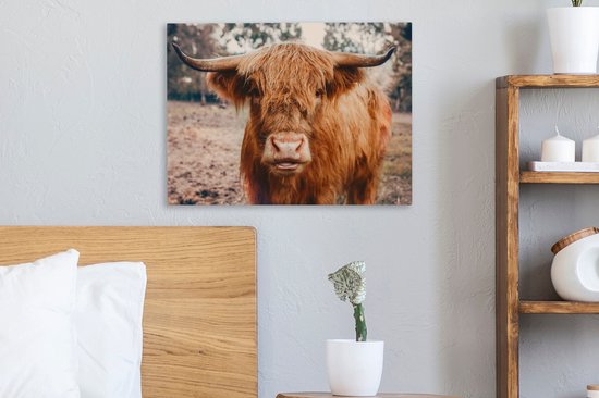 Tableau sur toile - Highlander - Animaux - Vache - Peintures salon - Décoration chambre - Toile toile - 40x30 cm