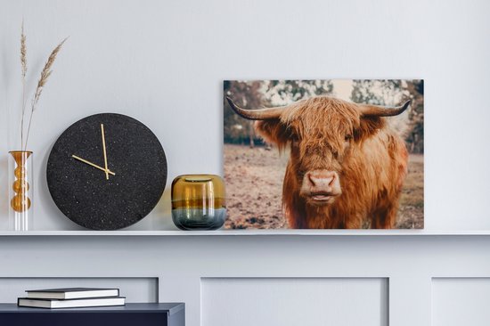 Tableau sur toile - Highlander - Animaux - Vache - Peintures salon - Décoration chambre - Toile toile - 40x30 cm