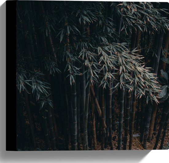 WallClassics - Canvas  - Donkere Bamboe Bomen - 30x30 cm Foto op Canvas Schilderij (Wanddecoratie op Canvas)
