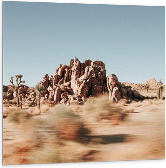 WallClassics - Dibond - Snelheid in de Woestijn - 100x100 cm Foto op Aluminium (Met Ophangsysteem)