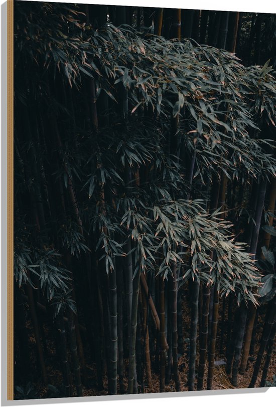 WallClassics - Hout - Donkere Bamboe Bomen - 80x120 cm - 12 mm dik - Foto op Hout (Met Ophangsysteem)