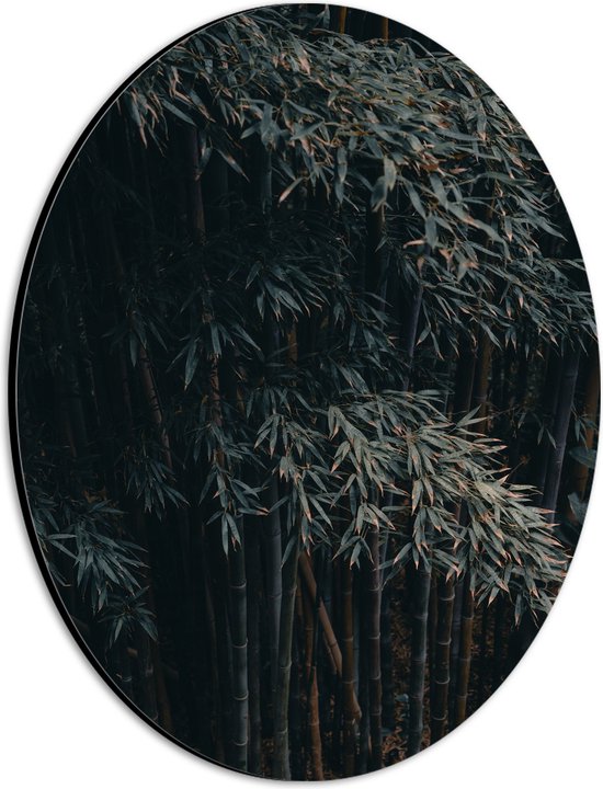 WallClassics - Dibond Ovaal - Donkere Bamboe Bomen - 21x28 cm Foto op Ovaal (Met Ophangsysteem)
