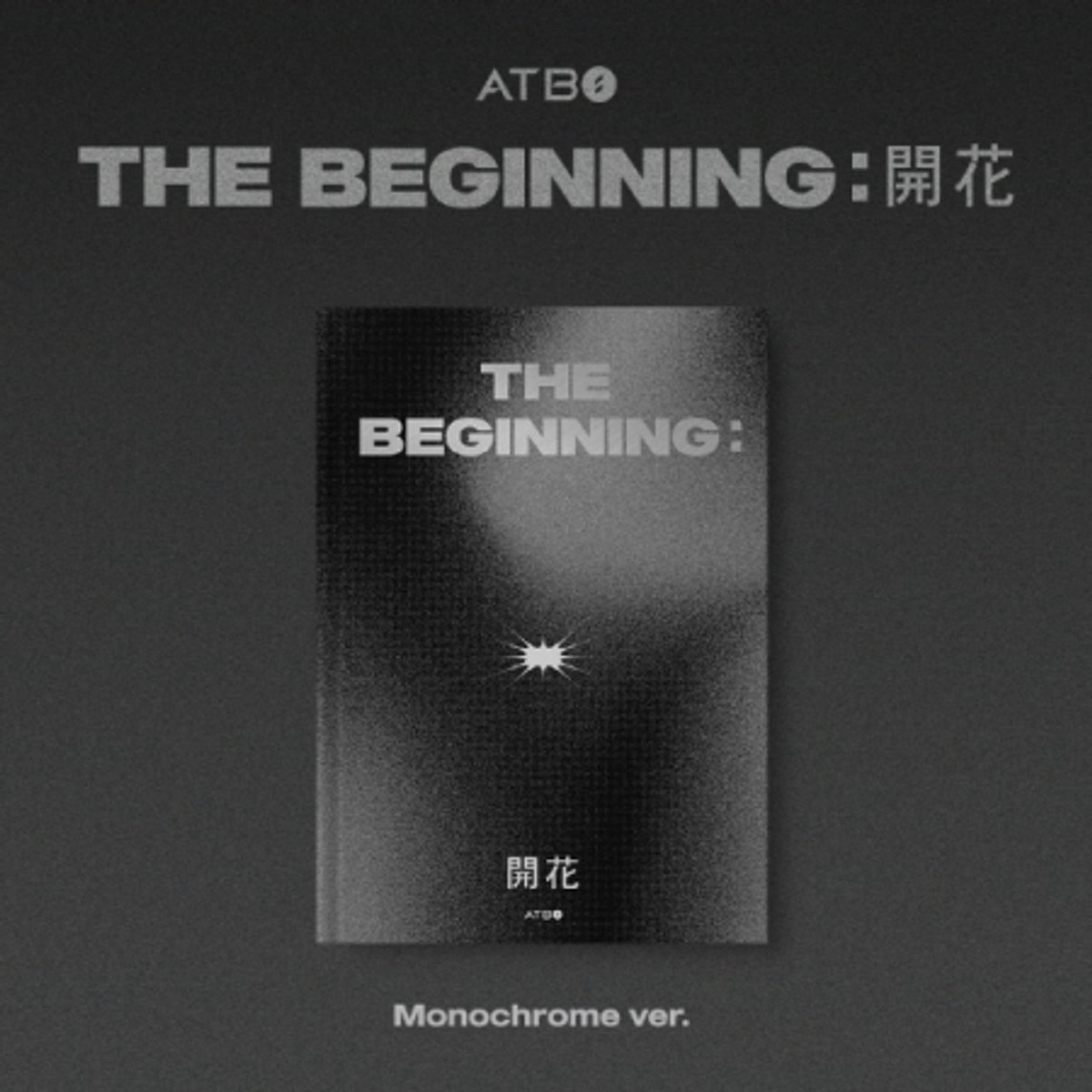 Atbo - Beginning : Blooming (CD)