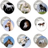 9 buttons Horses - button - paard - horse - dier - arabier - halflinger - pony