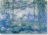 Poster, 50 x 70 cm, Waterlelies, Monet