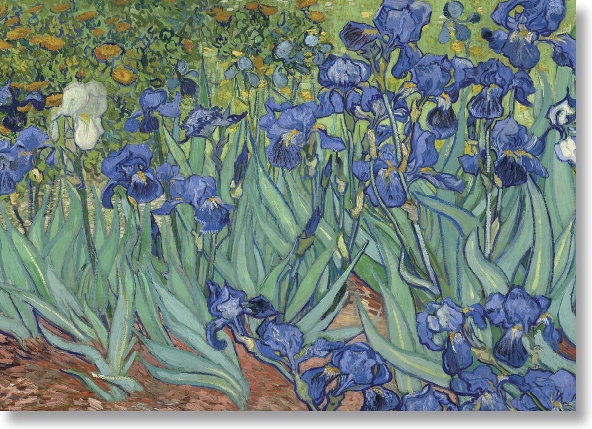 Lanzfeld (museumwebshop.com) Poster, 50x70 Irissen, Vincent van Gogh paars