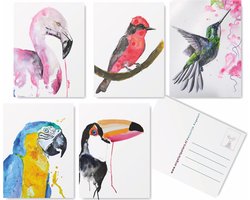 Tropische Vogel Wenskaarten Set -5 stuks - Blanco - Ansichtkaarten - De originele illustraties zijn handgemaakt door Angela