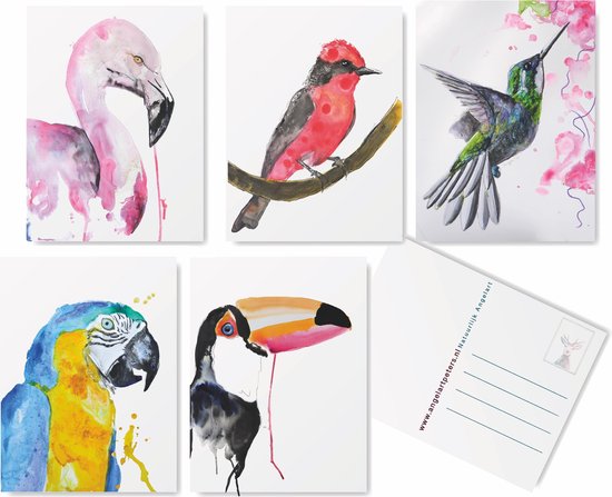 Tropische Vogel Wenskaarten Set -5 stuks - Blanco - Ansichtkaarten - De originele illustraties zijn handgemaakt door Angela