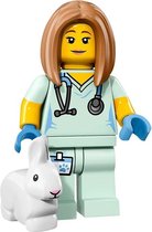 LEGO Minifigures Serie 17 - Veterinarian 5/16 - 71018