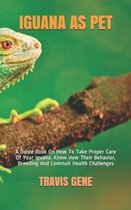 Iguana as Pet