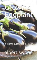 Growing Eggplant