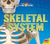 Skeletal System