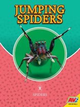 Spiders- Jumping Spiders