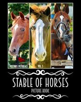Precious Pictorials Stable Of Horses Picture Book Vol. 03