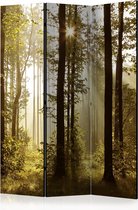 Kamerscherm - Scheidingswand - Vouwscherm - Forest: Morning Sunlight  [Room Dividers] 135x172 - Artgeist Vouwscherm