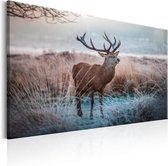 Schilderijen Op Canvas - Schilderij - Wild Animal 120x80 - Artgeist Schilderij