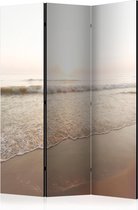 Kamerscherm - Scheidingswand - Vouwscherm - Magnificent Morning [Room Dividers] 135x172 - Artgeist Vouwscherm