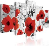 Schilderijen Op Canvas - Schilderij - Scarlet flowers 100x50 - Artgeist Schilderij