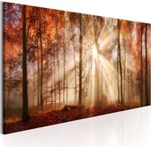 Schilderijen Op Canvas - Schilderij - Autumnal Dawn 120x40 - Artgeist Schilderij