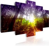 Schilderijen Op Canvas - Schilderij - Rainbow Forest 200x100 - Artgeist Schilderij