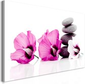 Schilderijen Op Canvas - Schilderij - Calm Mallow (1 Part) Pink 70x35 - Artgeist Schilderij