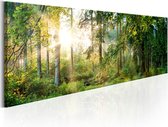 Schilderijen Op Canvas - Schilderij - Forest Shelter 120x40 - Artgeist Schilderij