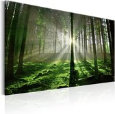 Schilderijen Op Canvas - Schilderij - Emerald Forest II 120x80 - Artgeist Schilderij